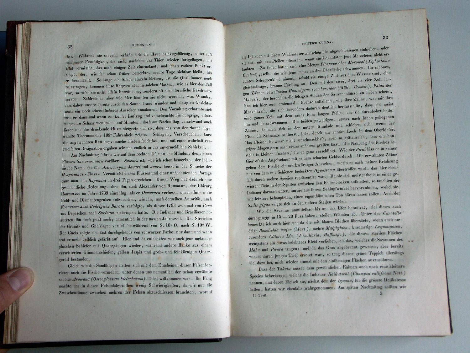 ZZ-RISC48,S.032 Rio Sawara-auuru,Chirurg Hortsmann,1739